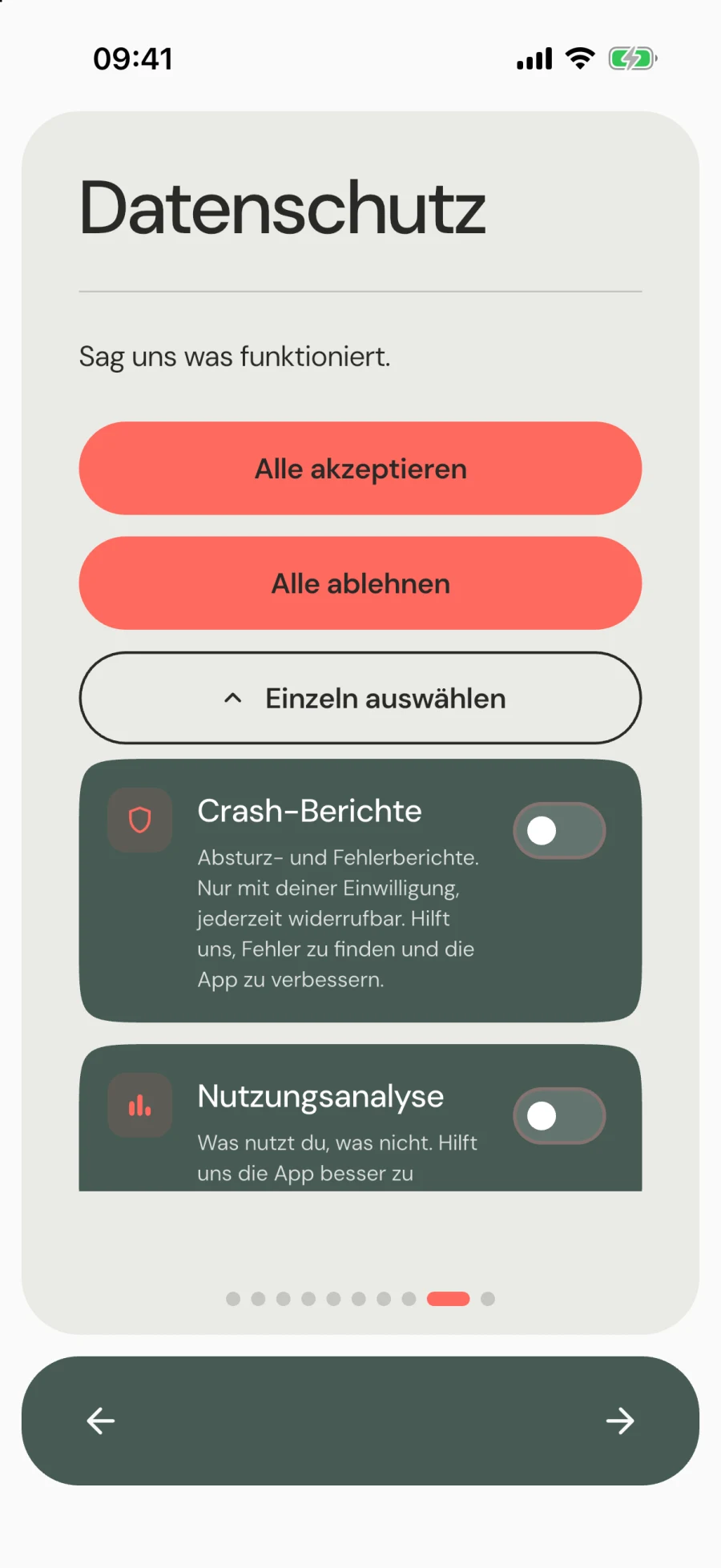 Datenschutz-Auswahl beim Start